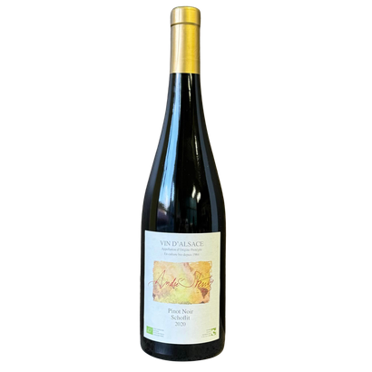 Pinot Noir Schofl it 2020
